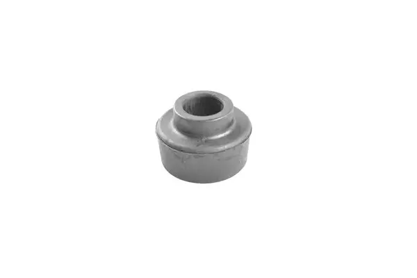 Lagerung, Lenker vorne Hinterachse beidseitig TEDGUM 00285182