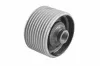 Lagerung, Motor vorne rechts TEDGUM 00343319