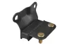 Lagerung, Motor TEDGUM 00391655