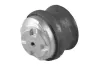 Lagerung, Motor vorne links TEDGUM 00416445 Bild Lagerung, Motor vorne links TEDGUM 00416445