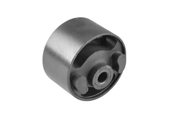 Lagerung, Motor hinten TEDGUM 00462907