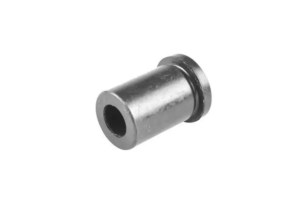 Lagerung, Blattfeder Hinterachse beidseitig hinten TEDGUM 00463417