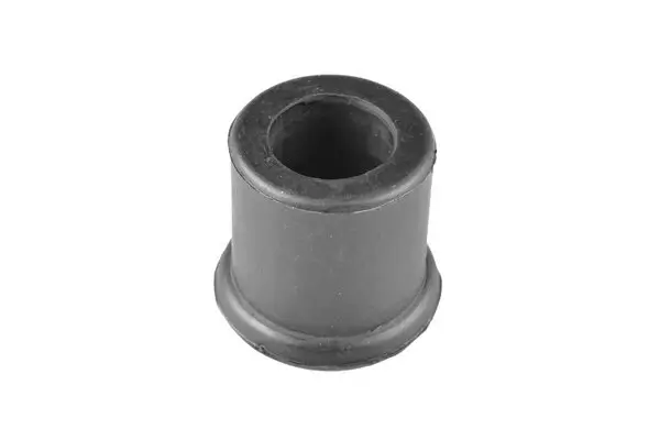 Lagerung, Blattfeder Hinterachse beidseitig hinten TEDGUM 00465620