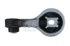 Lagerung, Motor vorne rechts TEDGUM 00507121 Bild Lagerung, Motor vorne rechts TEDGUM 00507121