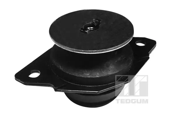 Lagerung, Schaltgetriebeträger hinten TEDGUM 00725600