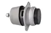 Lagerung, Motor beidseitig TEDGUM 00728486 Bild Lagerung, Motor beidseitig TEDGUM 00728486