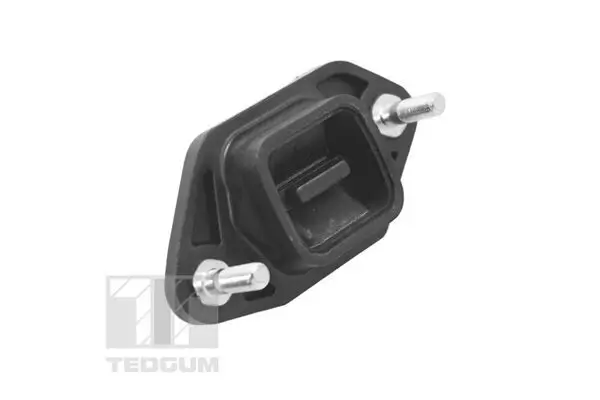 Lagerung, Motor vorne links TEDGUM TED14845