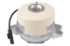 Lagerung, Motor links TEDGUM TED27536 Bild Lagerung, Motor links TEDGUM TED27536