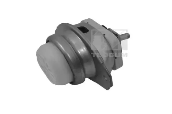 Lagerung, Motor vorne links vorne rechts TEDGUM TED44341 Bild Lagerung, Motor vorne links vorne rechts TEDGUM TED44341