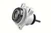 Lagerung, Motor vorne rechts vorne links TEDGUM TED44719