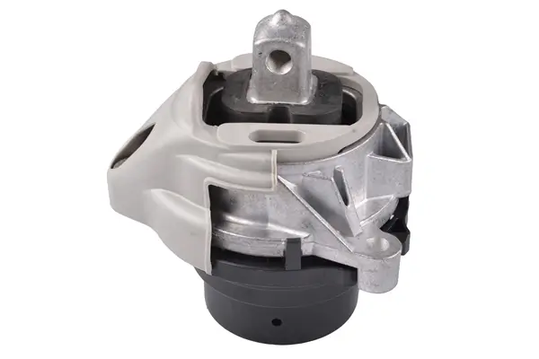 Lagerung, Motor rechts TEDGUM TED87717