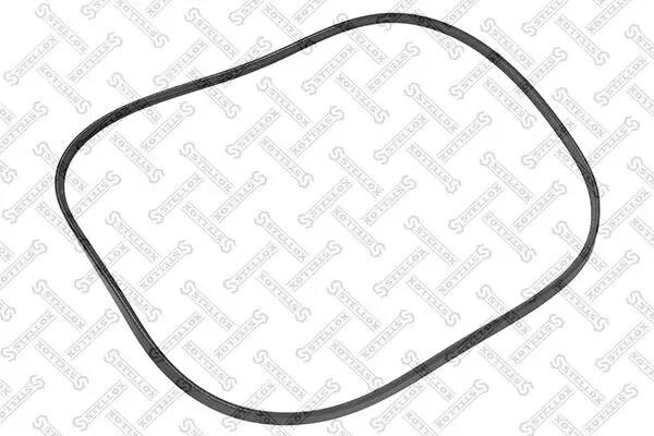 Keilrippenriemen STELLOX 02-00800-SX