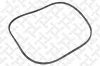 Keilrippenriemen STELLOX 02-00800-SX