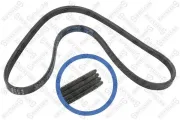 Keilrippenriemen STELLOX 04-00922-SX