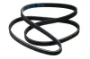 Keilrippenriemen STELLOX 04-01180-SX Bild Keilrippenriemen STELLOX 04-01180-SX