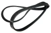 Keilrippenriemen STELLOX 05-01070-SX Bild Keilrippenriemen STELLOX 05-01070-SX