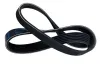 Keilrippenriemen STELLOX 06-00780-SX Bild Keilrippenriemen STELLOX 06-00780-SX