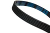 Keilrippenriemen STELLOX 06-00845-SX Bild Keilrippenriemen STELLOX 06-00845-SX