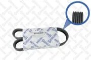 Keilrippenriemen STELLOX 06-00870-SX