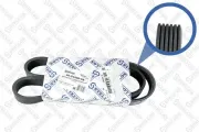 Keilrippenriemen STELLOX 06-01000-SX