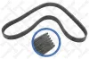Keilrippenriemen STELLOX 06-01019-SX