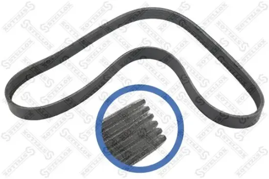 Keilrippenriemen STELLOX 06-01019-SX Bild Keilrippenriemen STELLOX 06-01019-SX