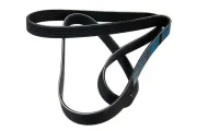 Keilrippenriemen STELLOX 06-01580-SX