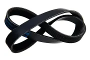 Keilrippenriemen STELLOX 06-10831-SX