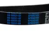 Keilrippenriemen STELLOX 06-10831-SX Bild Keilrippenriemen STELLOX 06-10831-SX