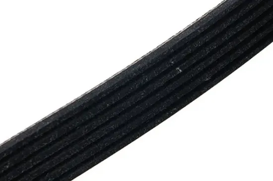 Keilrippenriemen STELLOX 06-10831-SX Bild Keilrippenriemen STELLOX 06-10831-SX