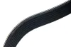 Keilrippenriemen STELLOX 07-01280-SX Bild Keilrippenriemen STELLOX 07-01280-SX