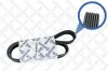 Keilrippenriemen STELLOX 07-11140-SX