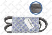 Keilrippenriemen STELLOX 08-00955-SX