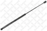 Gasfeder, Koffer-/Laderaum STELLOX 11-20817-SX