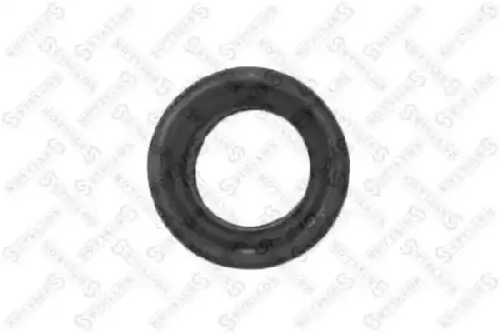 Dichtung, Ansaugkrümmer Eingang STELLOX 11-26003-SX Bild Dichtung, Ansaugkrümmer Eingang STELLOX 11-26003-SX