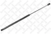 Gasfeder, Koffer-/Laderaum STELLOX 11-50813-SX