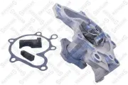Wasserpumpe, Motorkühlung STELLOX 4503-0005-SX