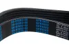 Keilrippenriemen STELLOX 96-01683-SX Bild Keilrippenriemen STELLOX 96-01683-SX