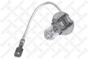 Glühlampe, Nebelscheinwerfer 12 V 55 W H3 STELLOX 99-39034-SX