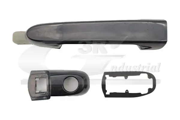 Türaußengriff vorne rechts 3RG 69824