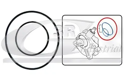 Dichtung, Unterdruckpumpe 3RG 74100