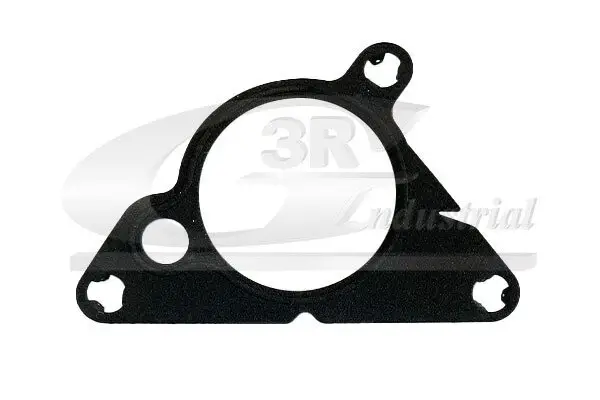 Dichtung, Unterdruckpumpe 3RG 74213