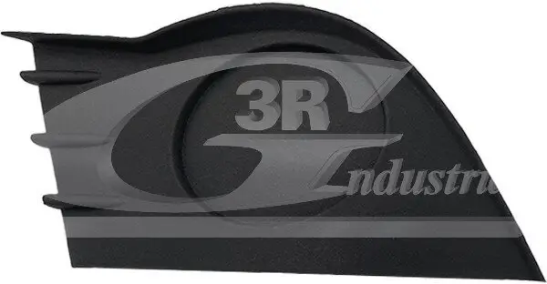 Lüftungsgitter, Stoßfänger rechts vorne 3RG 79616