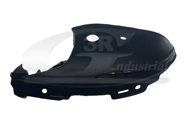 Blinkleuchte Außenspiegel rechts 3RG 79631