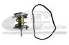 Thermostat, Kühlmittel 3RG 80195