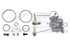 Einspritzpumpe 3RG 86624