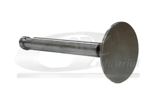 Auslassventil 3RG 87217 Bild Auslassventil 3RG 87217