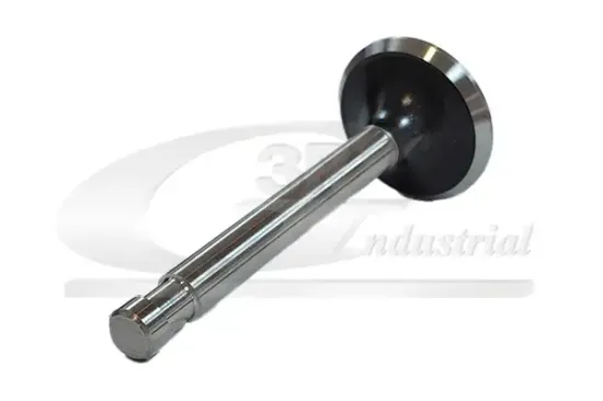 Auslassventil 3RG 87217 Bild Auslassventil 3RG 87217