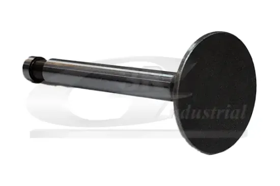 Auslassventil 3RG 87218 Bild Auslassventil 3RG 87218