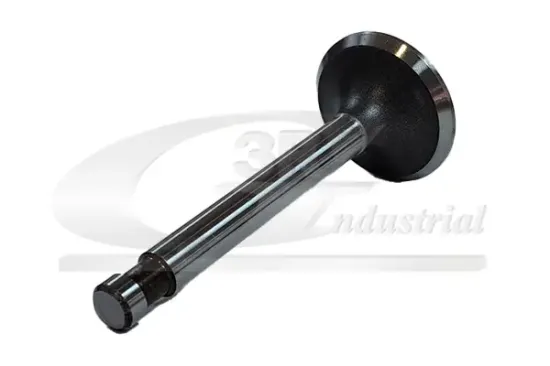 Auslassventil 3RG 87218 Bild Auslassventil 3RG 87218